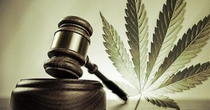 Justice et cannabis